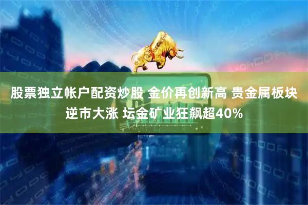 股票独立帐户配资炒股 金价再创新高 贵金属板块逆市大涨 坛金矿业狂飙超40%