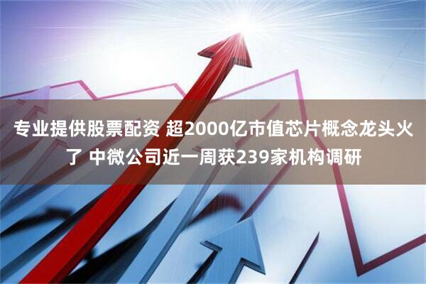 专业提供股票配资 超2000亿市值芯片概念龙头火了 中微公司近一周获239家机构调研